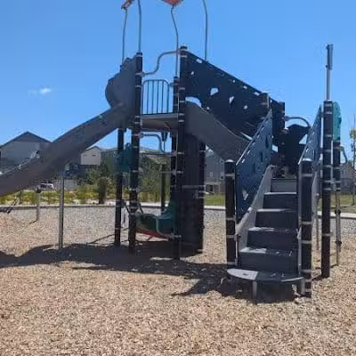 Ashmore - Colorado Springs, CO