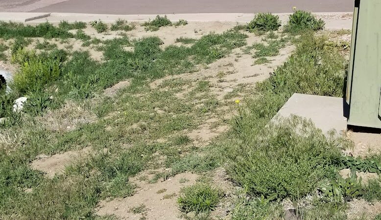 Centre Barkway - Colorado Springs, CO