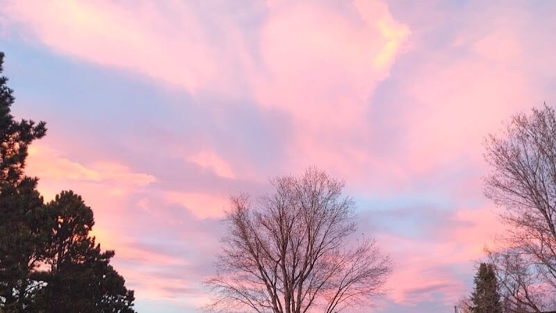 Colorado Springs - Colorado Springs, CO