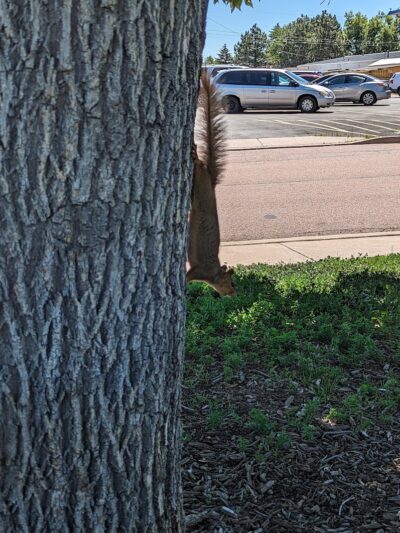 Franklin Park - Colorado Springs, CO