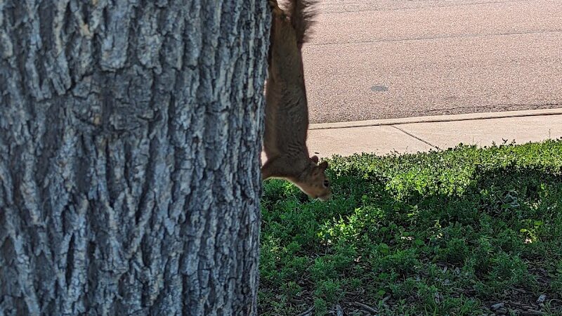 Franklin Park - Colorado Springs, CO