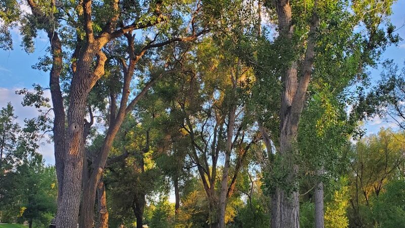 Franklin Park - Colorado Springs, CO