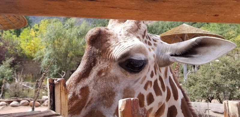 Franklin Park - Colorado Springs, CO