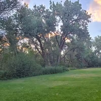 Franklin Park - Colorado Springs, CO