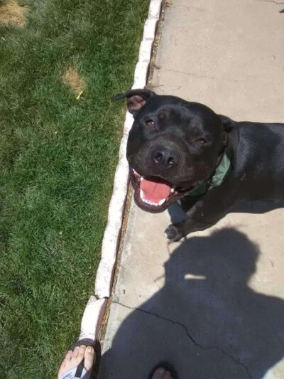 Franklin Park - Colorado Springs, CO