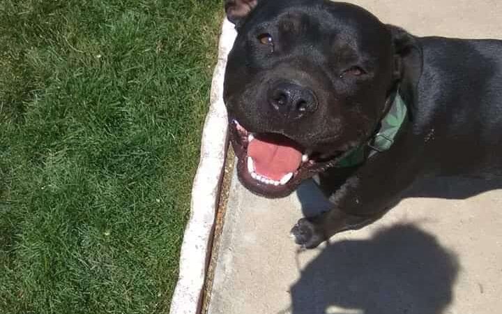 Franklin Park - Colorado Springs, CO