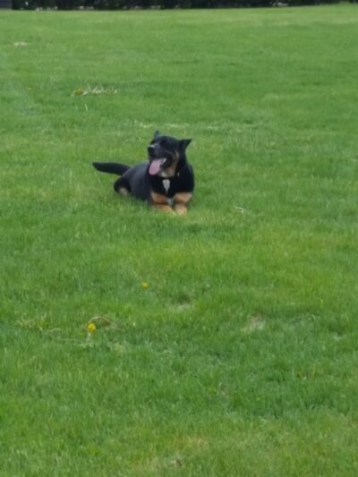 Franklin Park - Colorado Springs, CO