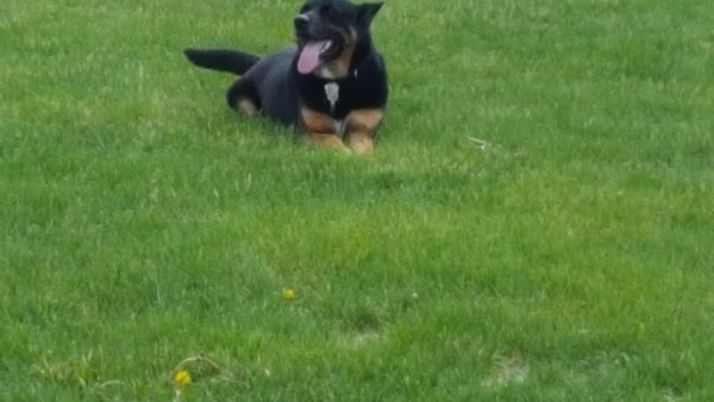 Franklin Park - Colorado Springs, CO