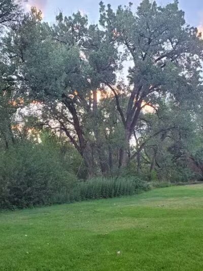 Franklin Park - Colorado Springs, CO