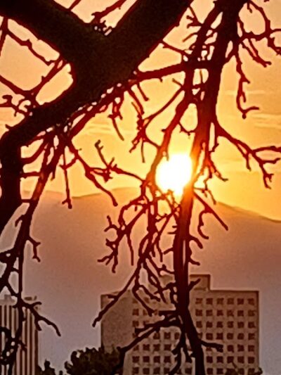 Freedom Park - Colorado Springs, CO