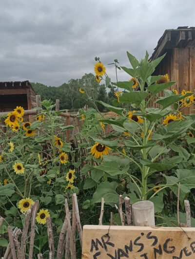 Garden of the Gods Off-Leash Area - Colorado Springs, CO
