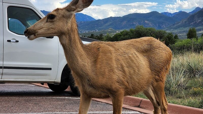 Garden of the Gods Off-Leash Area - Colorado Springs, CO