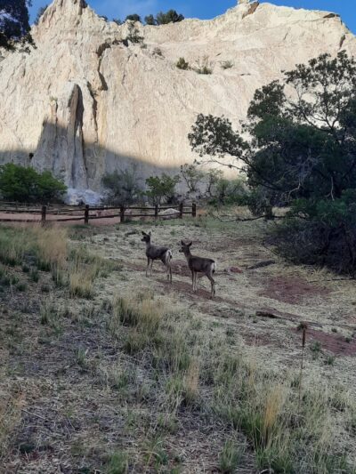 Garden of the Gods Off-Leash Area - Colorado Springs, CO
