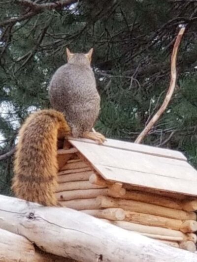 Grant Park - Colorado Springs, CO