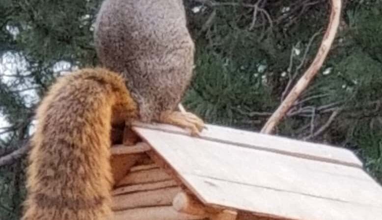 Grant Park - Colorado Springs, CO