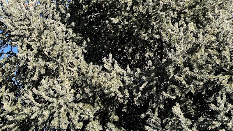 Grant Park - Colorado Springs, CO