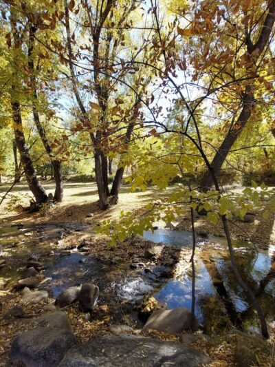 Harlan Wolfe Park - Colorado Springs, CO