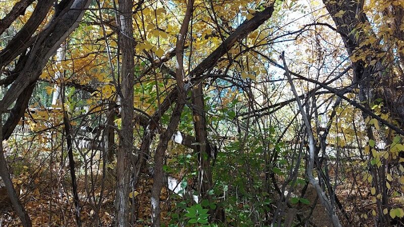 Harlan Wolfe Park - Colorado Springs, CO