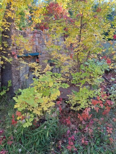Harlan Wolfe Park - Colorado Springs, CO