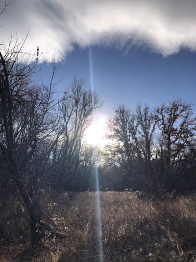 Harlan Wolfe Park - Colorado Springs, CO