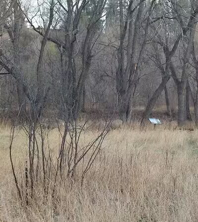 Harlan Wolfe Park - Colorado Springs, CO