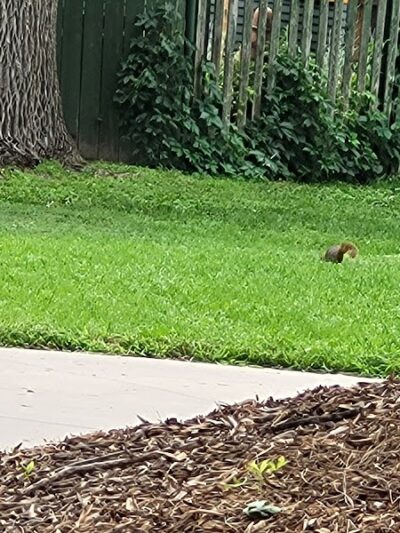 John "Prairie Dog" O'Byrne Park - Colorado Springs, CO