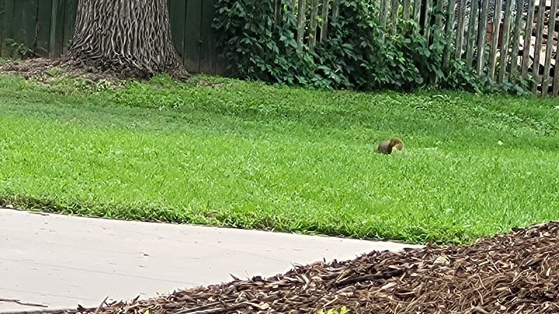 John "Prairie Dog" O'Byrne Park - Colorado Springs, CO