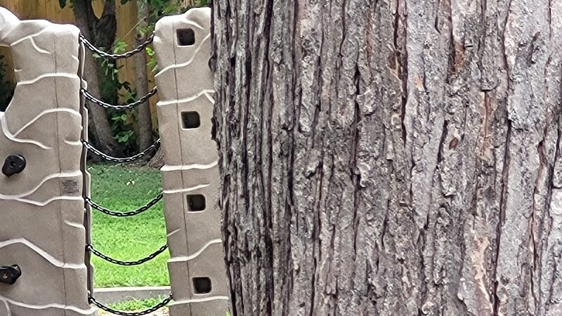 John "Prairie Dog" O'Byrne Park - Colorado Springs, CO