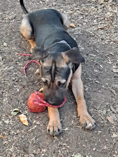 John "Prairie Dog" O'Byrne Park - Colorado Springs, CO