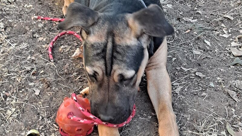 John "Prairie Dog" O'Byrne Park - Colorado Springs, CO