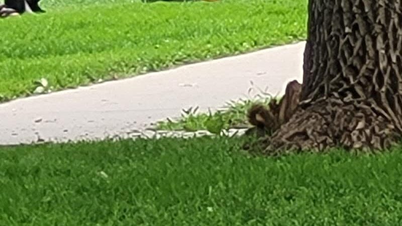 John "Prairie Dog" O'Byrne Park - Colorado Springs, CO