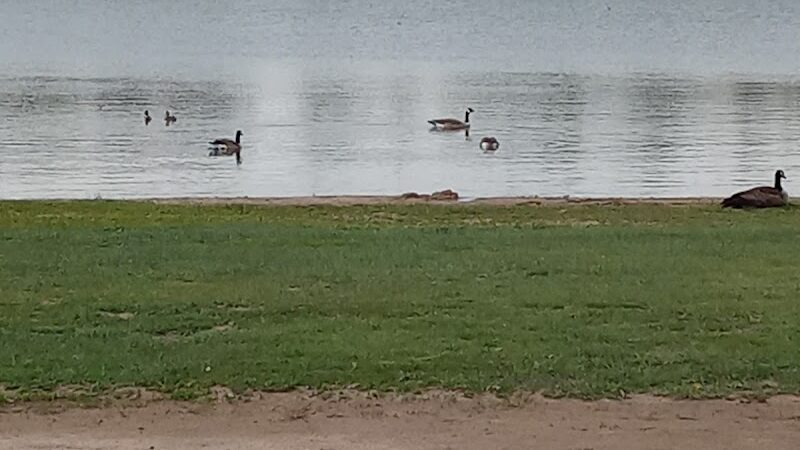 Memorial Park - Colorado Springs, CO