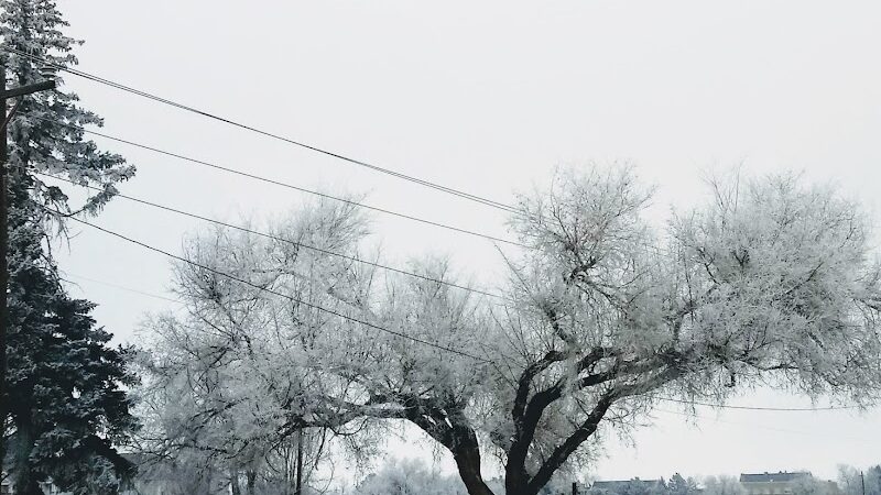 Memorial Park Pavilions A-C - Colorado Springs, CO