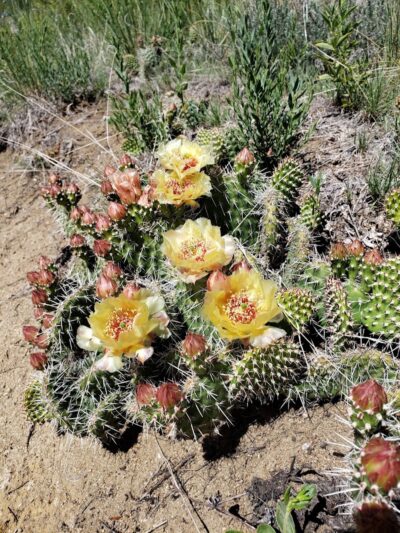 Otero Park - Colorado Springs, CO