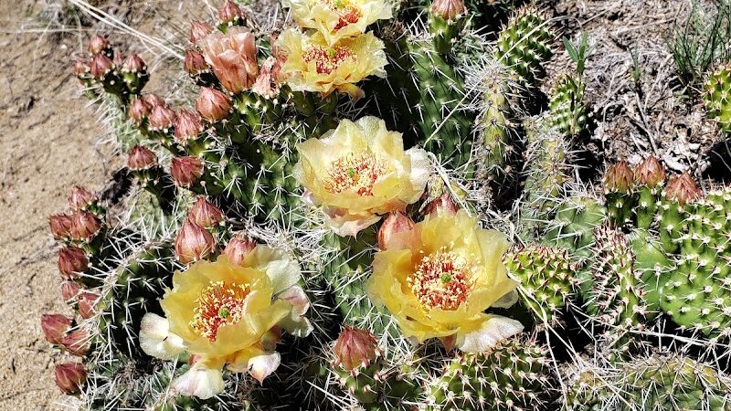 Otero Park - Colorado Springs, CO