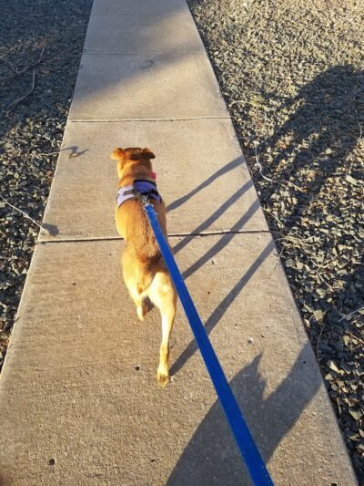 Otero Park - Colorado Springs, CO