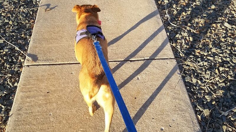 Otero Park - Colorado Springs, CO