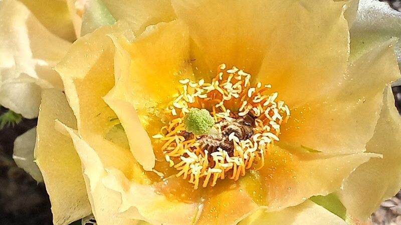 Palmer Park - Colorado Springs, CO