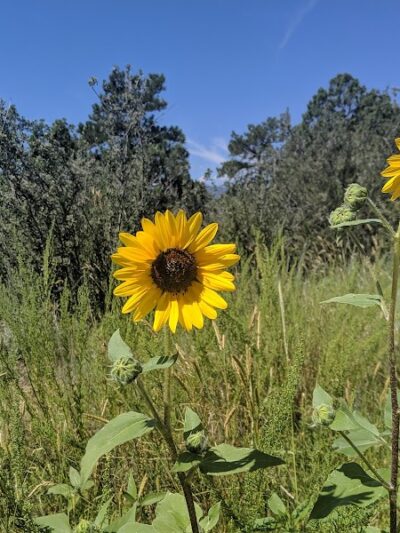 Palmer Park - Colorado Springs, CO