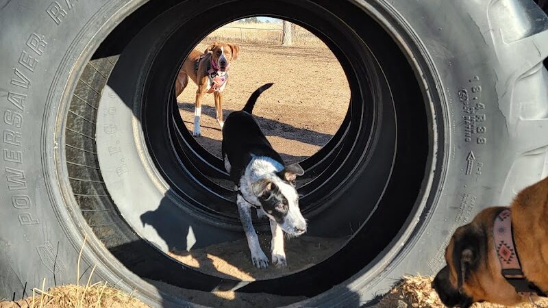 Rampart Dog Park - Colorado Springs, CO