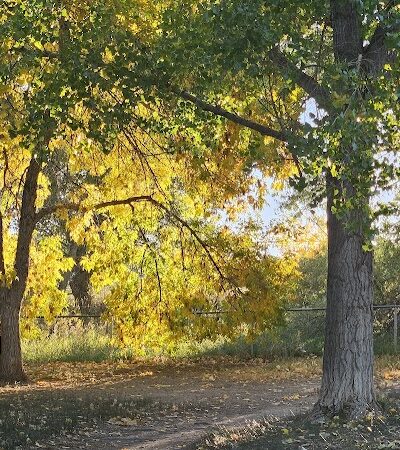 Rampart Dog Park - Colorado Springs, CO