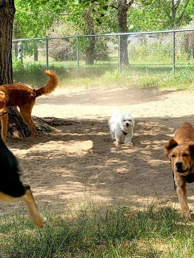 Rampart Dog Park - Colorado Springs, CO