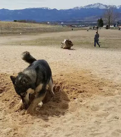 Rampart Dog Park - Colorado Springs, CO