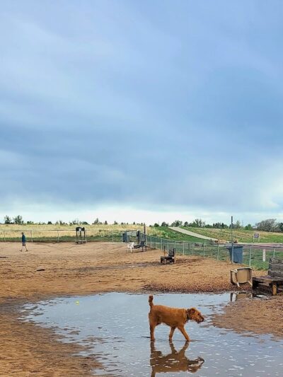 Rampart Park - Colorado Springs, CO