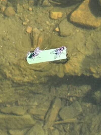 Sand Creek Trail, Colorado Springs, CO - Colorado Springs, CO