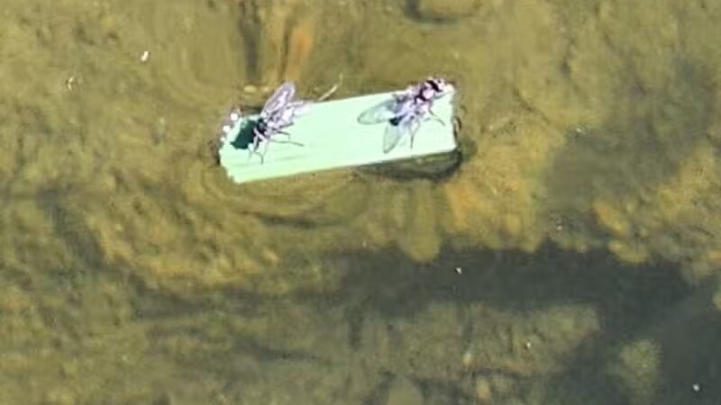 Sand Creek Trail, Colorado Springs, CO - Colorado Springs, CO