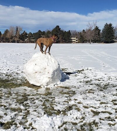 Village Green Park - Colorado Springs, CO