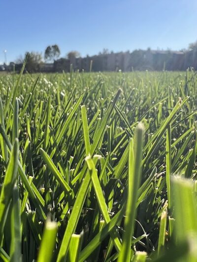 Village Green Park - Colorado Springs, CO
