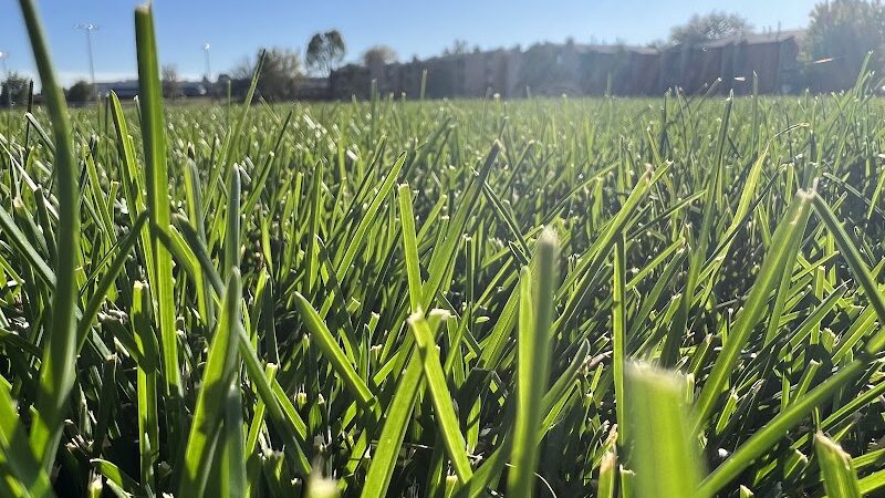Village Green Park - Colorado Springs, CO