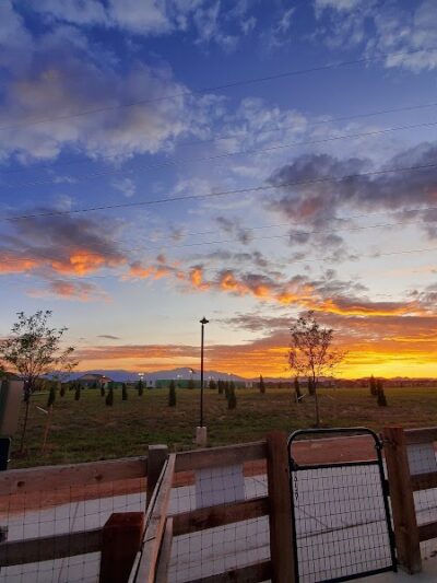 Vista Dog Park - Colorado Springs, CO